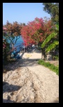 Corfu - Notos Beach -23-06-2025 - Bogdan Balaban